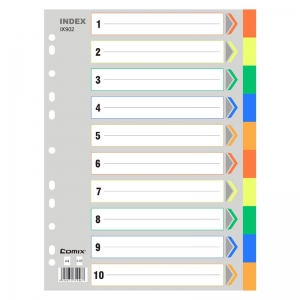 齐心 IX902 易分类 十色索引纸 A4 11孔 PP