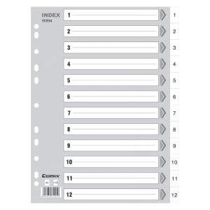 齐心 IX894 易分类 年度索引纸 A4 12页1-12 11孔 PP