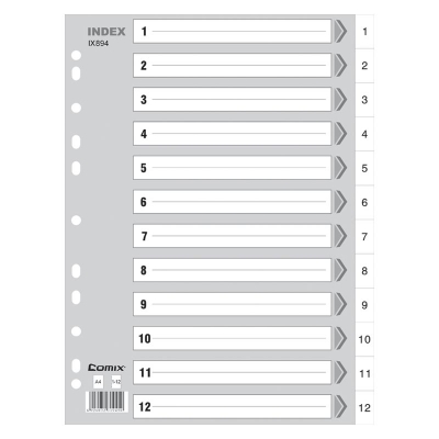齐心 IX894 易分类 年度索引纸 A4 12页1-12 11孔 PP