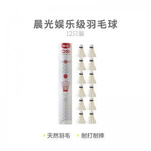 晨光羽毛球娱乐级（12只装）AST09311