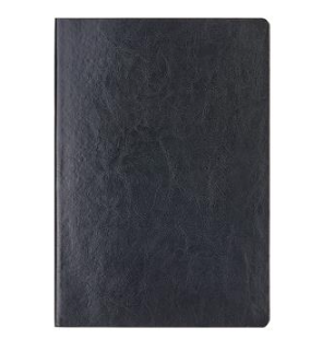 齐心 C5868 软皮皮面本B5 96张 笔记本